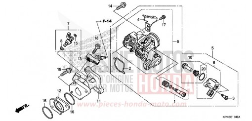 CORPS DE PAPILLON GLR1251WHH de 2017